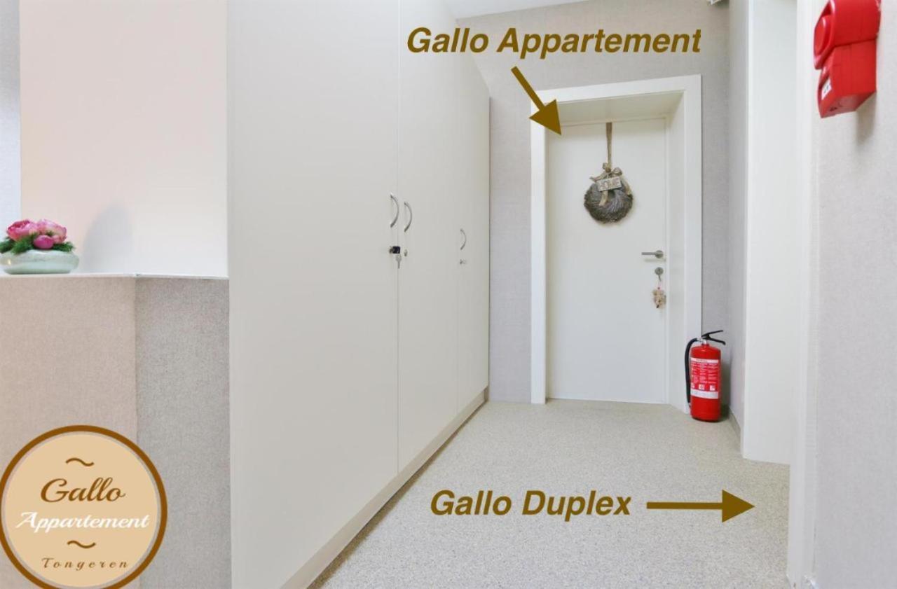 Gallo Appartement & Duplex Tongeren Centrum מראה חיצוני תמונה